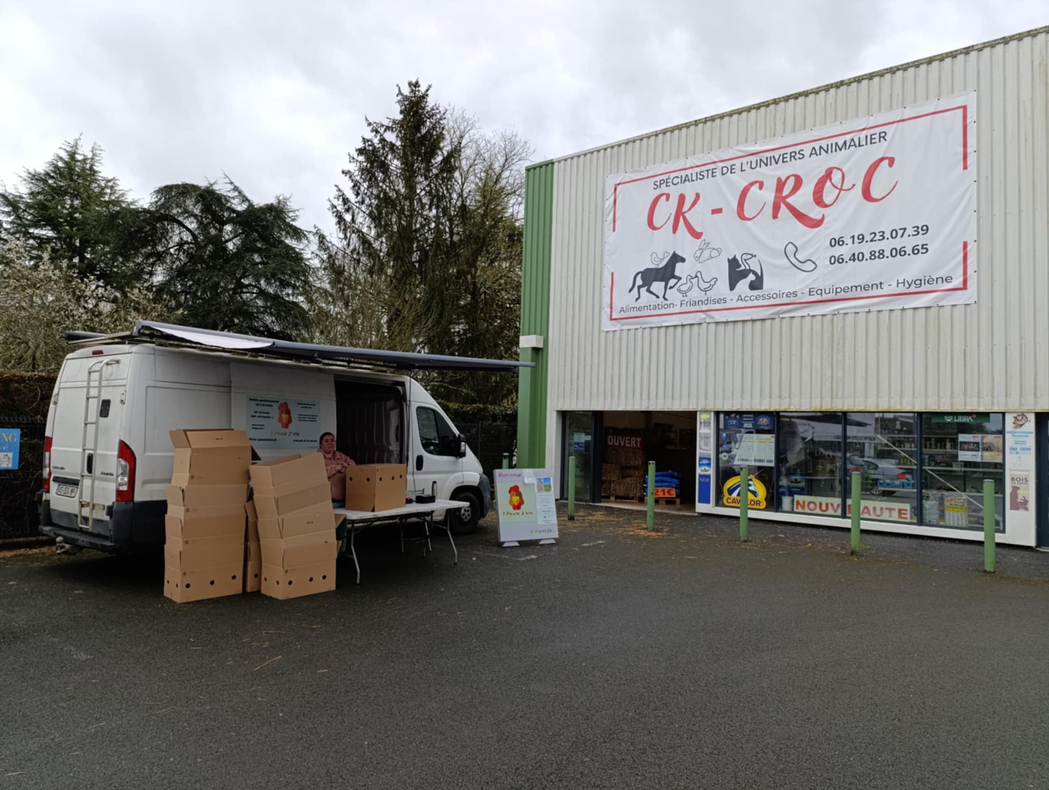 9ece05f1-7043-4a87-a101-4010398aee92